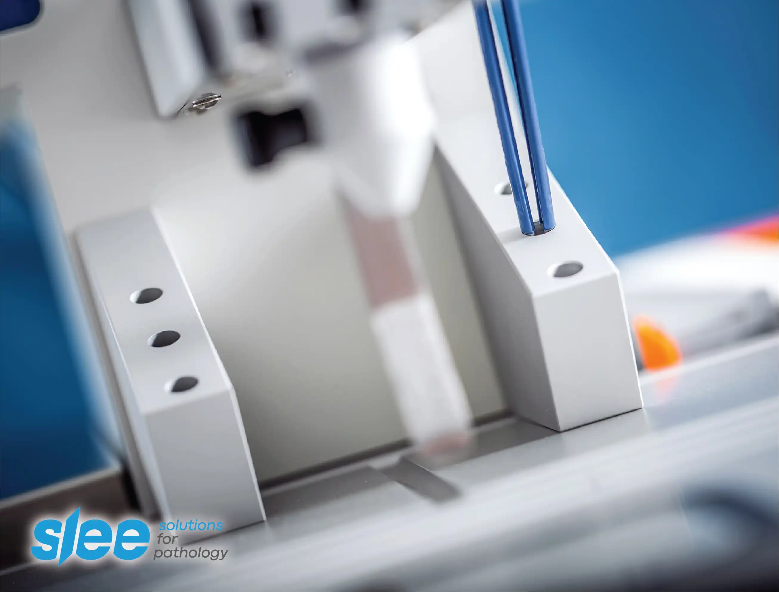 Slee Embedding Centers